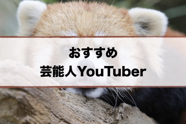 芸能人 Youtuber おすすめ人気ランキング 随時更新 超合理的 Cho Gouriteki